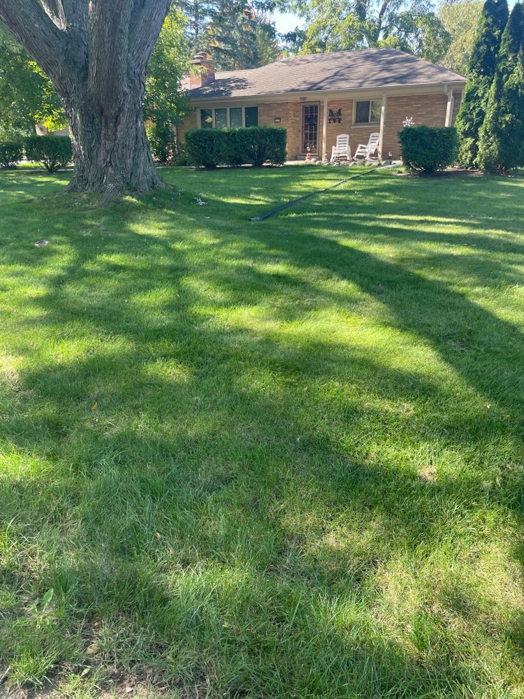 A house with a large lawn in front of it