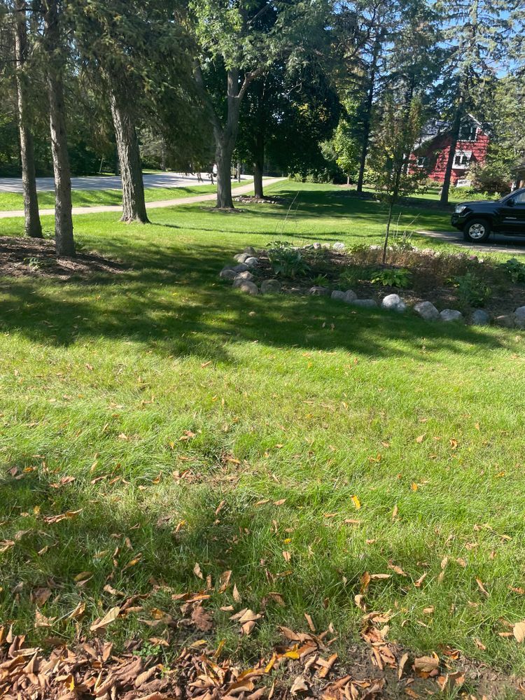 A black car is parked in the grass in a park