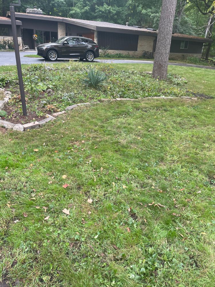 A car is parked in the grass in front of a house