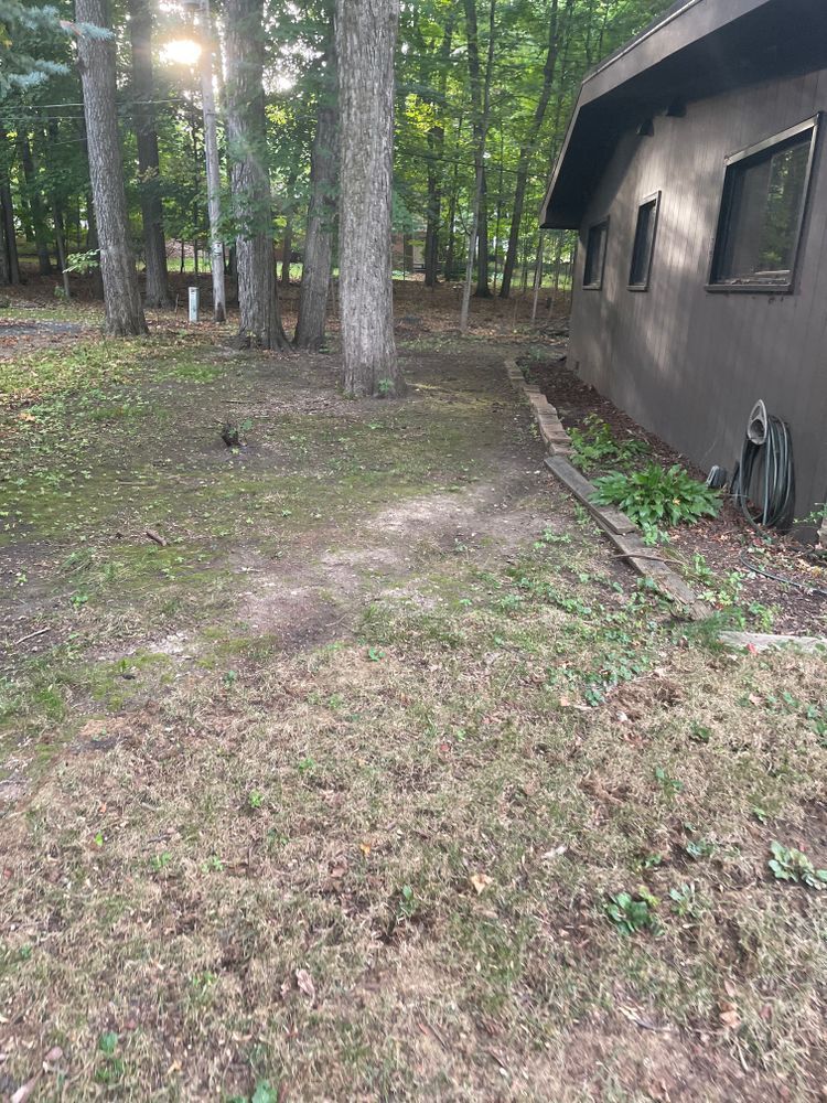 A house is sitting in the middle of a lush green forest