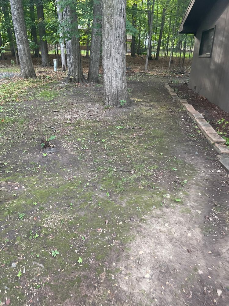 A dirt path leading to a house in the woods