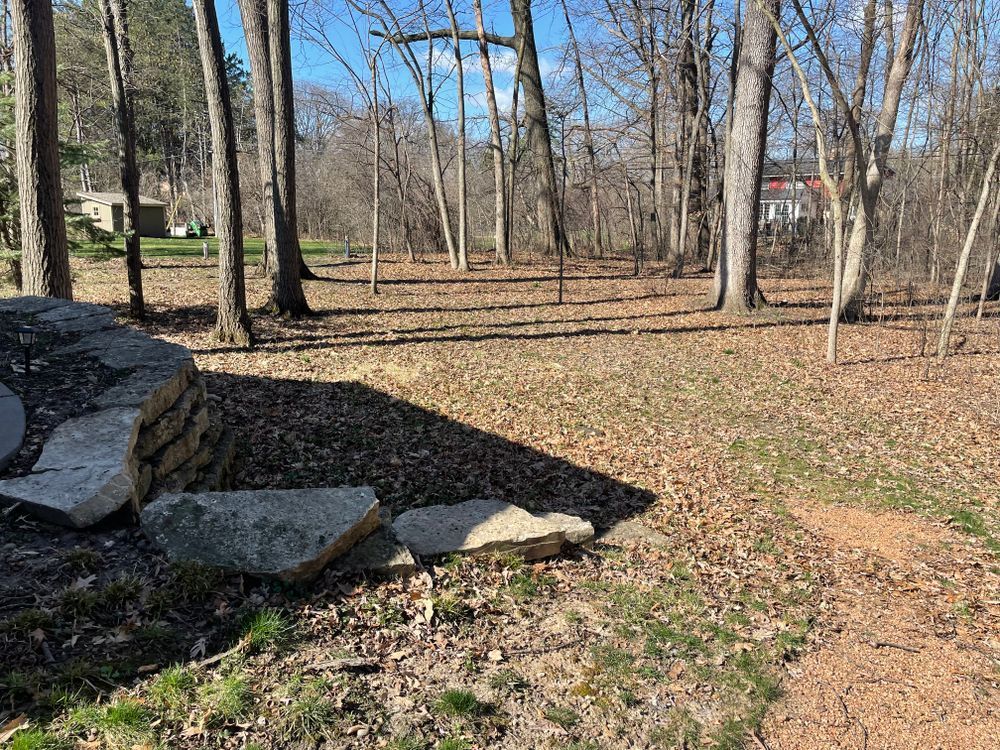 There is a stone wall in the middle of the woods