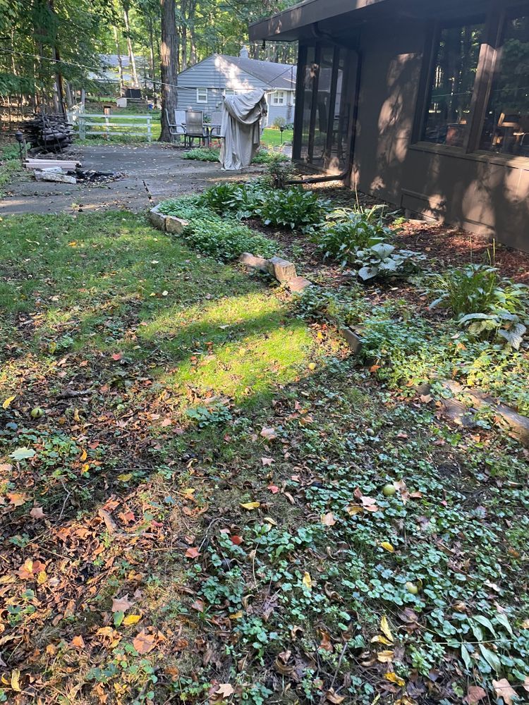 A house with a lot of leaves on the ground in front of it
