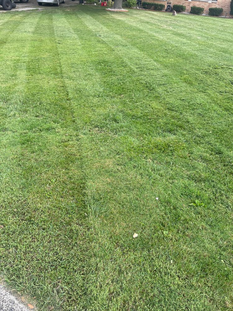 A lush green lawn with a striped pattern is being maintained by a lawn mower
