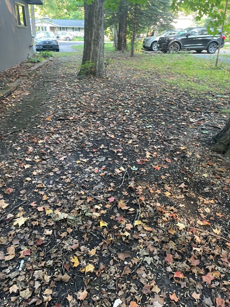 A lot of leaves are laying on the ground in a yard