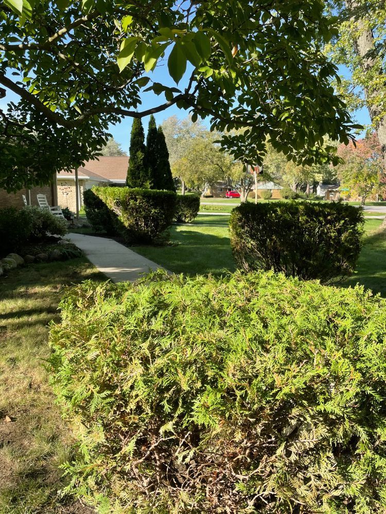A lush green park with trees and bushes and a sidewalk