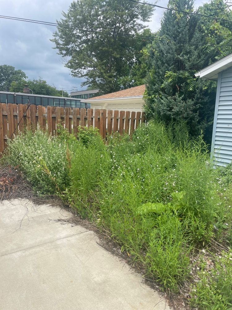 A wooden fence surrounds a lush green yard next to a house