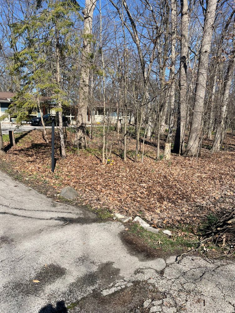 There is a lot of leaves on the ground on the side of the road