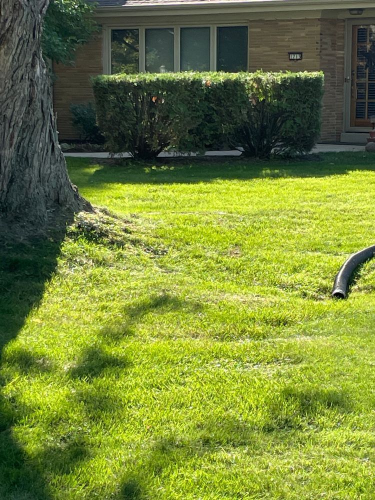 A hose is sitting in the grass in front of a house