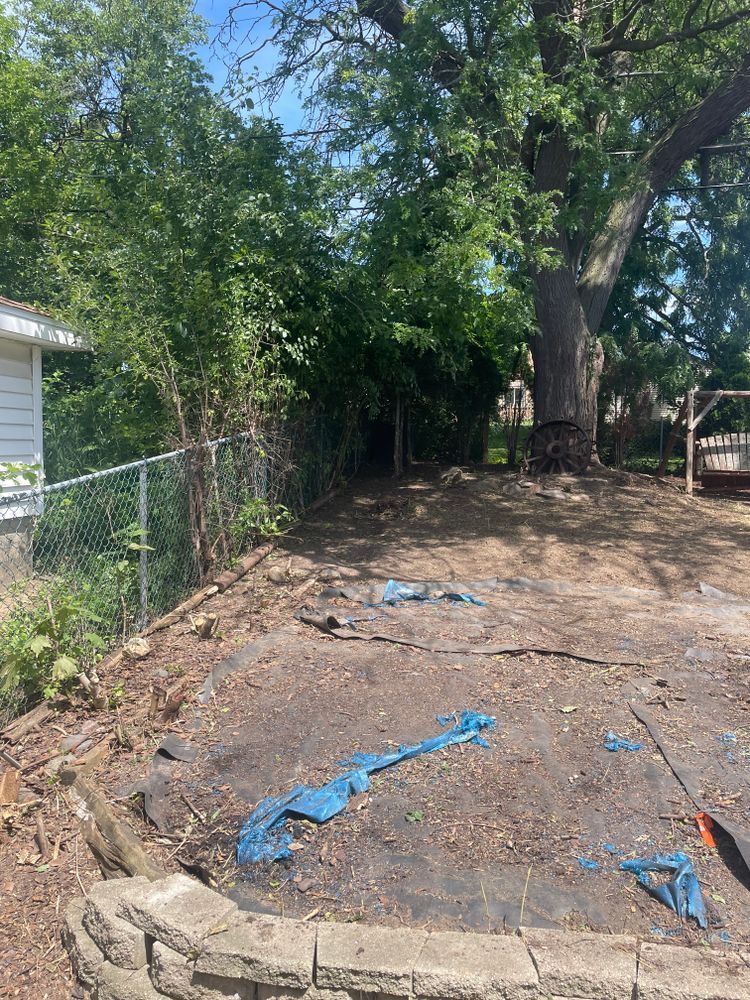 A dirt yard with a fence and a tree in the background