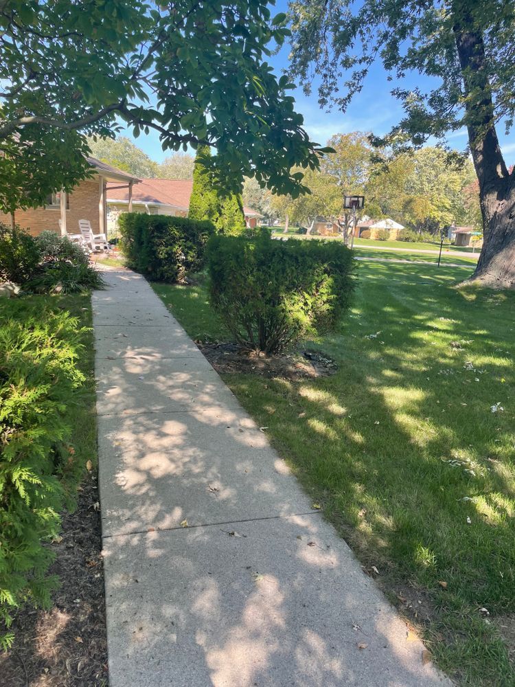 A sidewalk leading to a house in a park surrounded by trees and bushes