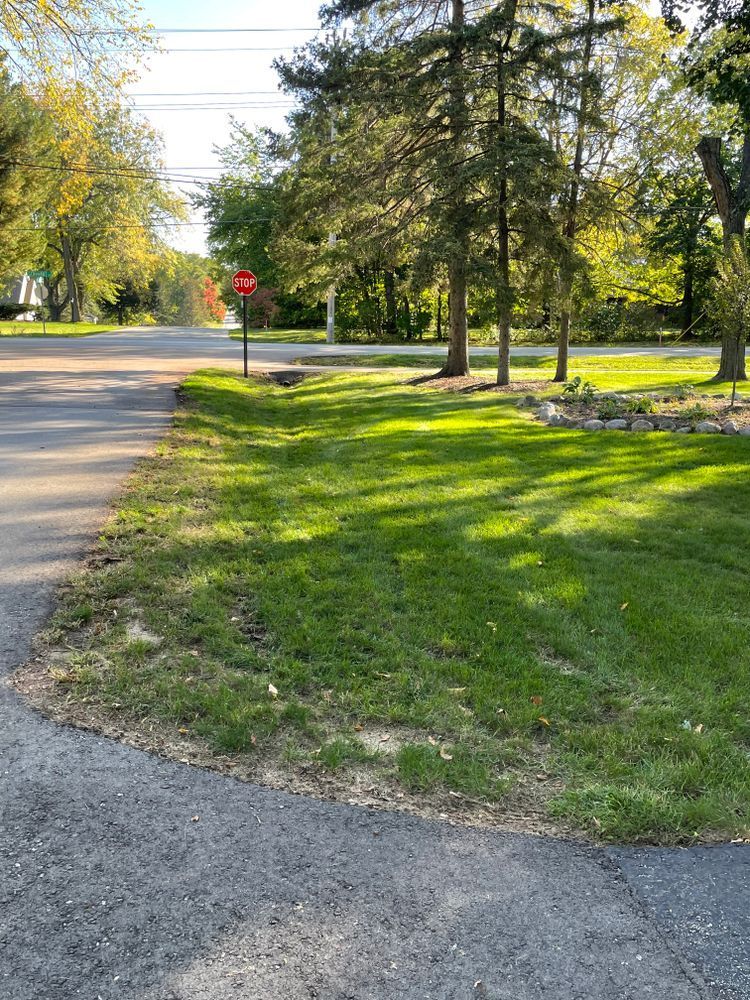There is a stop sign on the side of the road