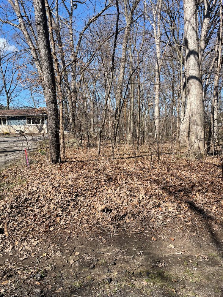 There is a house in the background and a lot of trees in the background