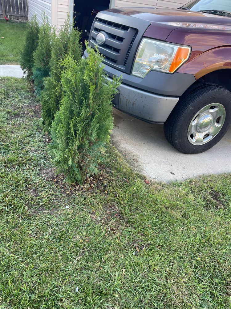 A truck is parked in a driveway next to a row of bushes