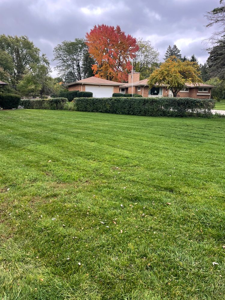A large lush green field with a house in the background