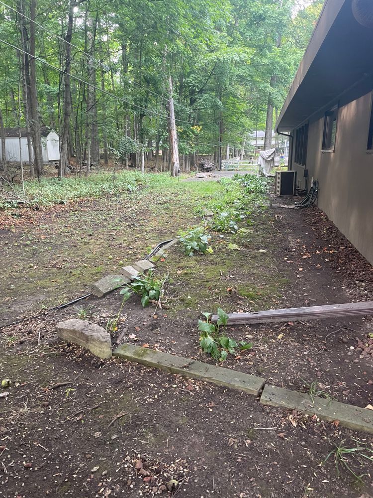 A house is sitting in the middle of a lush green forest