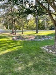 A lush green lawn with trees and rocks in a park