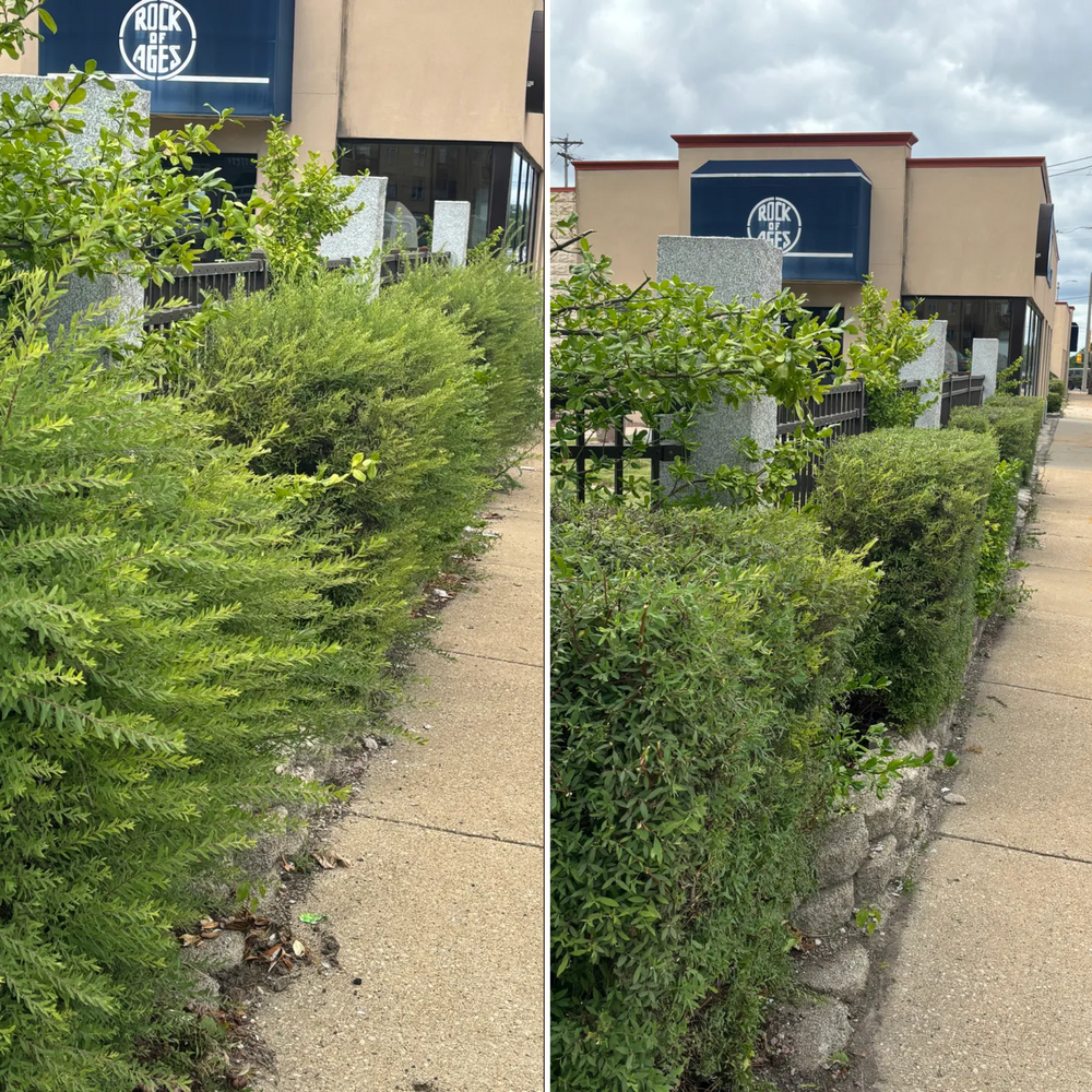 A before and after picture of a hedge in front of a building