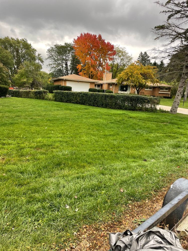 A large lush green field with a house in the background