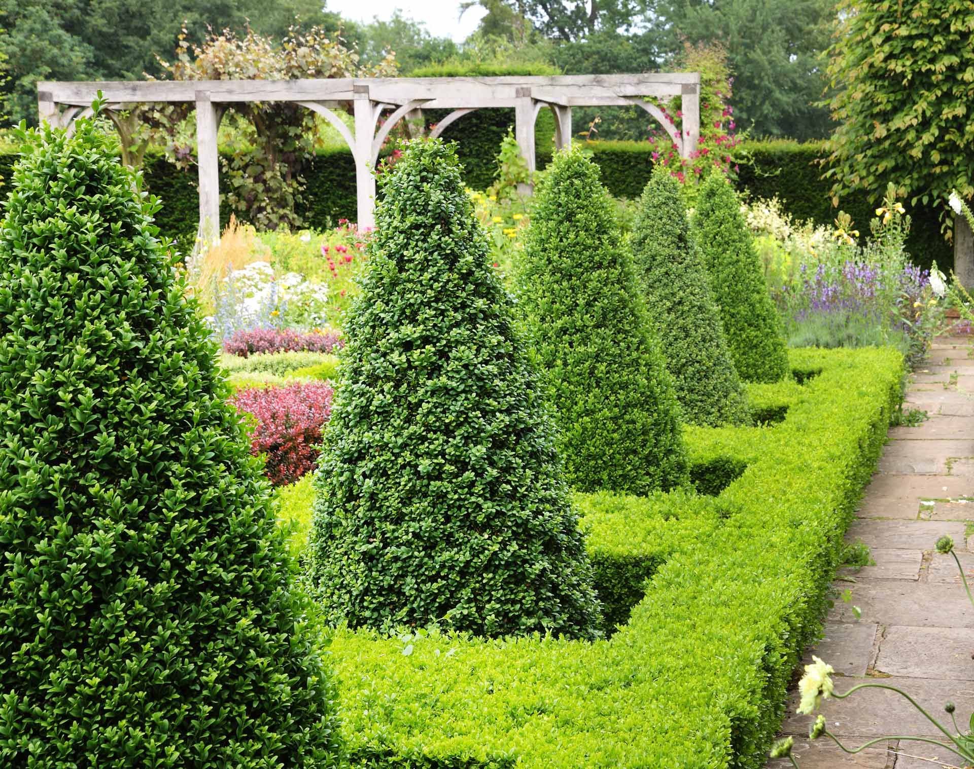 A row of trees in a garden with a pergola in the background