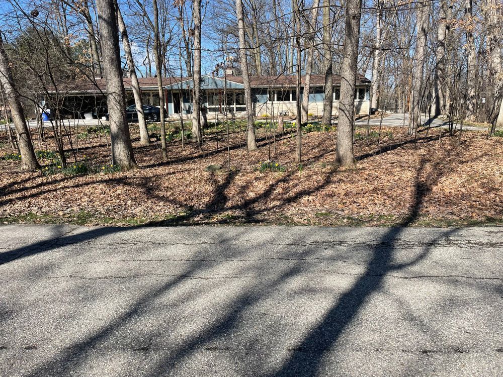 A house is surrounded by trees and leaves on the side of the road