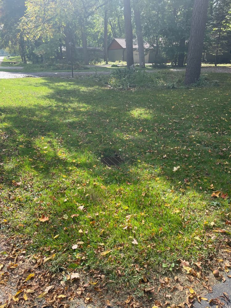 A lawn with a lot of leaves on it and trees in the background