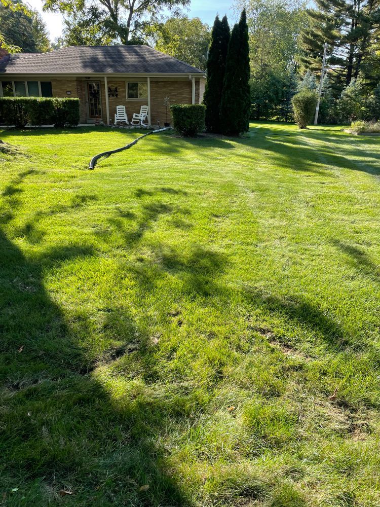 A large lush green lawn in front of a house
