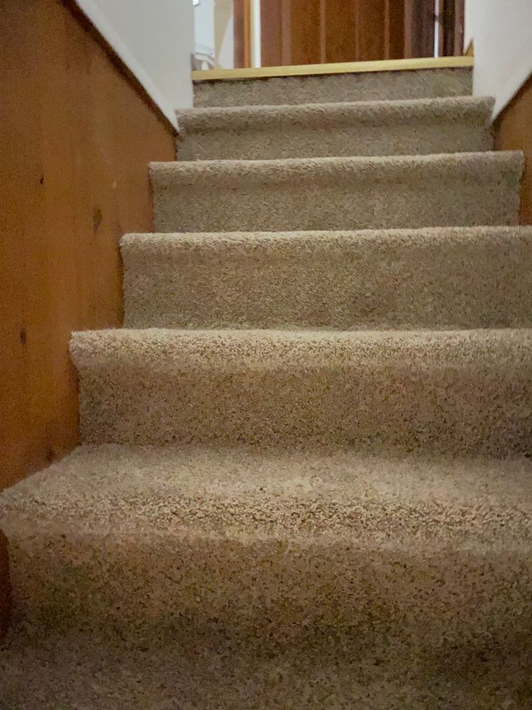 A close up of a set of stairs with carpet on them