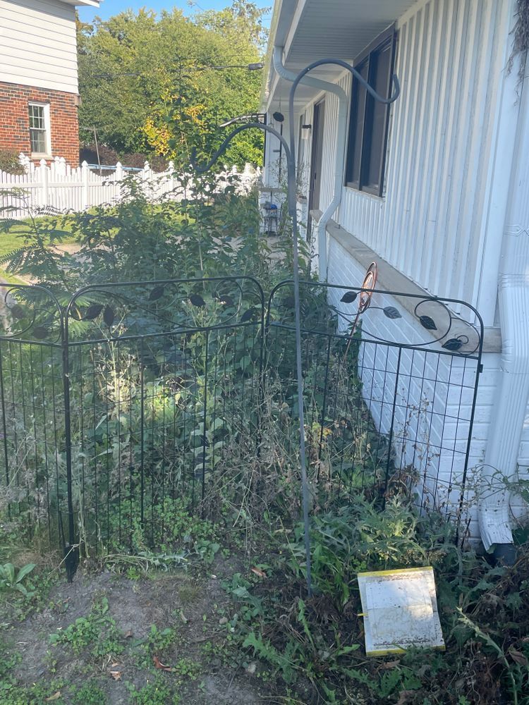 A white house with a fence and a bird feeder in front of it