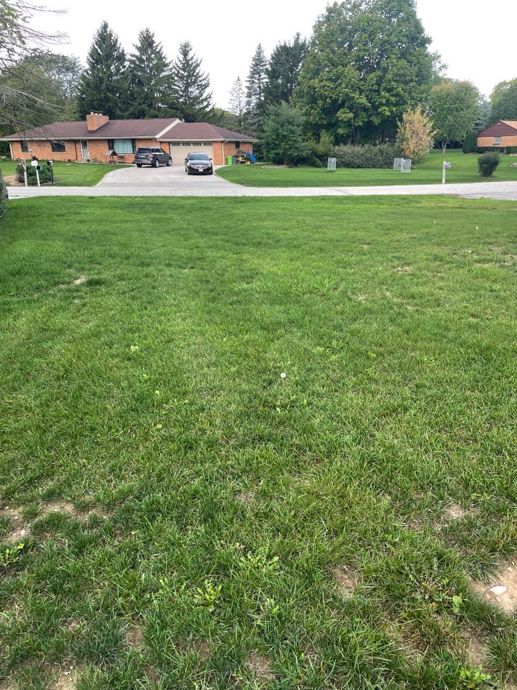 A lush green lawn in front of a house with a car parked in the driveway
