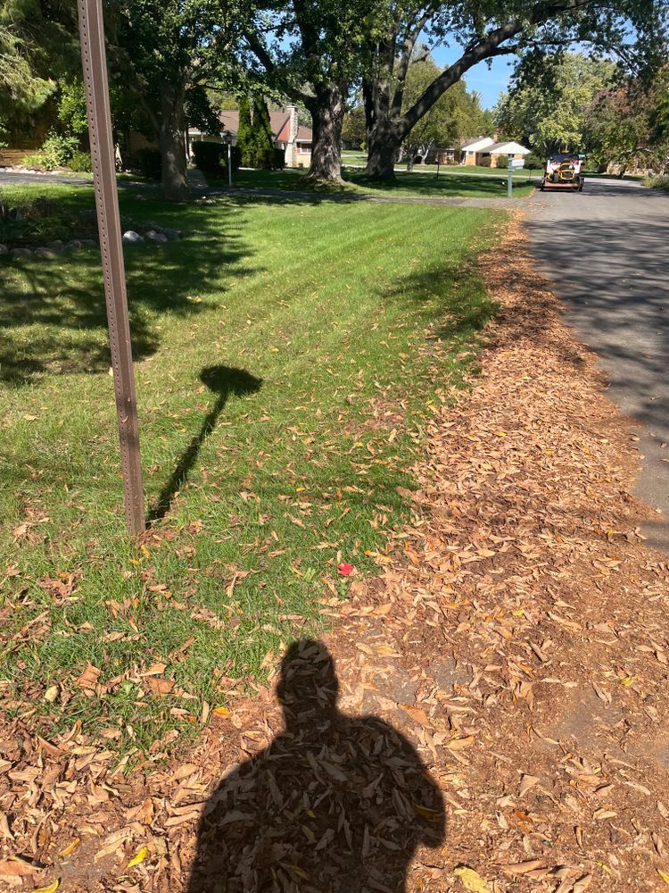 A person 's shadow is cast on the grass and leaves on the side of the road