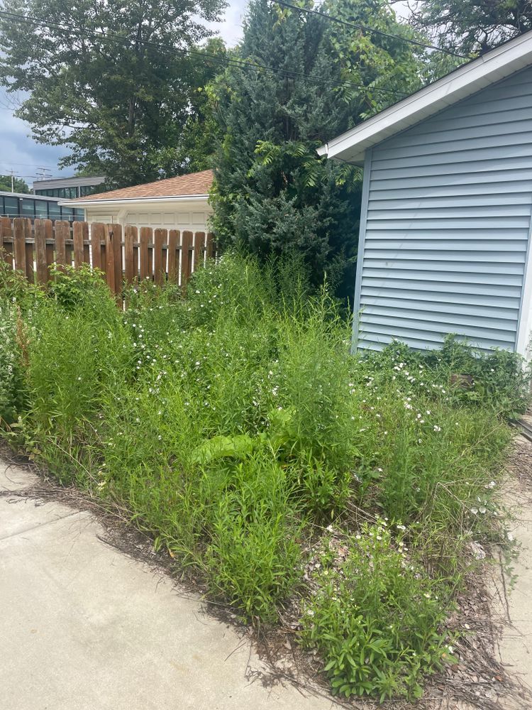 A house with a fence and a lot of weeds in front of it