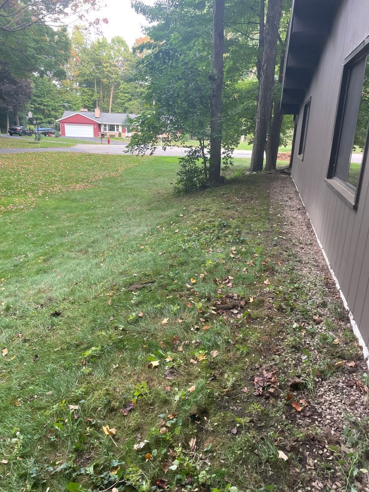 A house with a lot of grass and trees in front of it