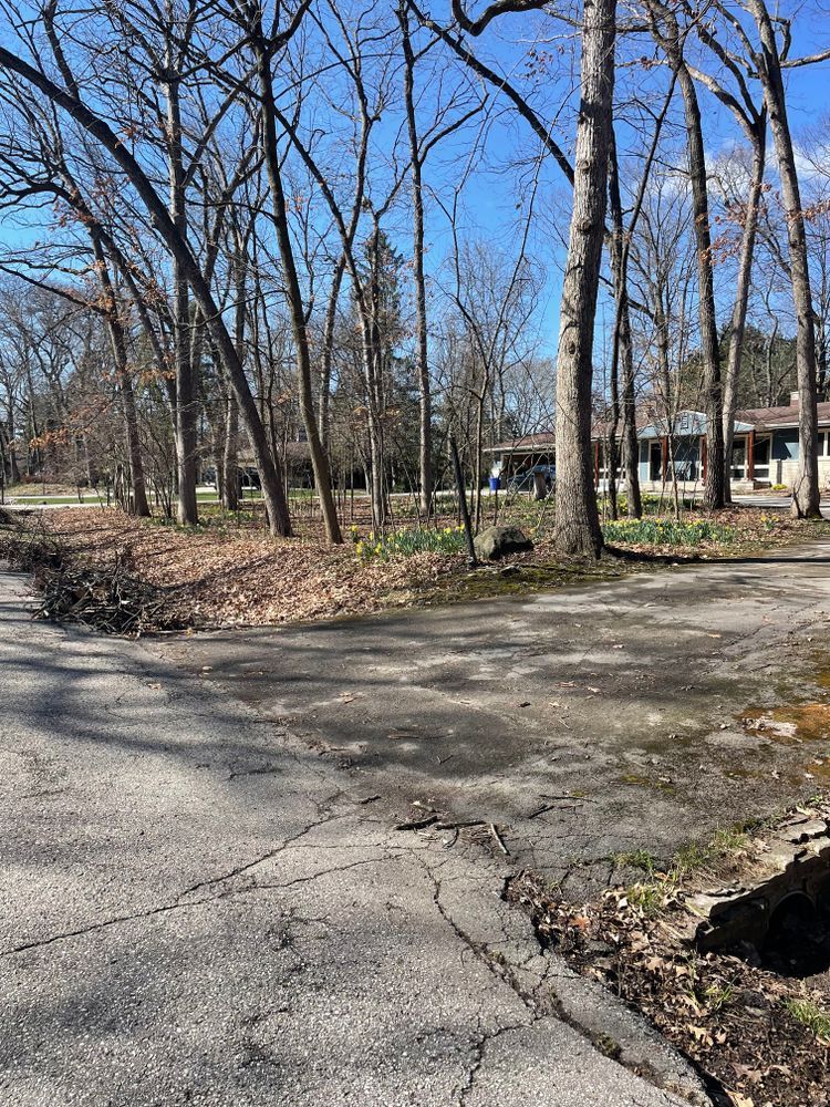 A road with trees on the side of it and a house in the background