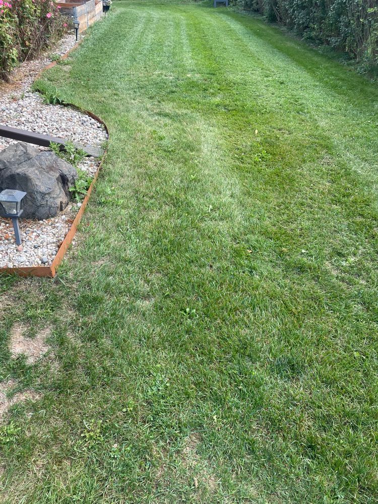A lush green lawn with a rock in the middle of it