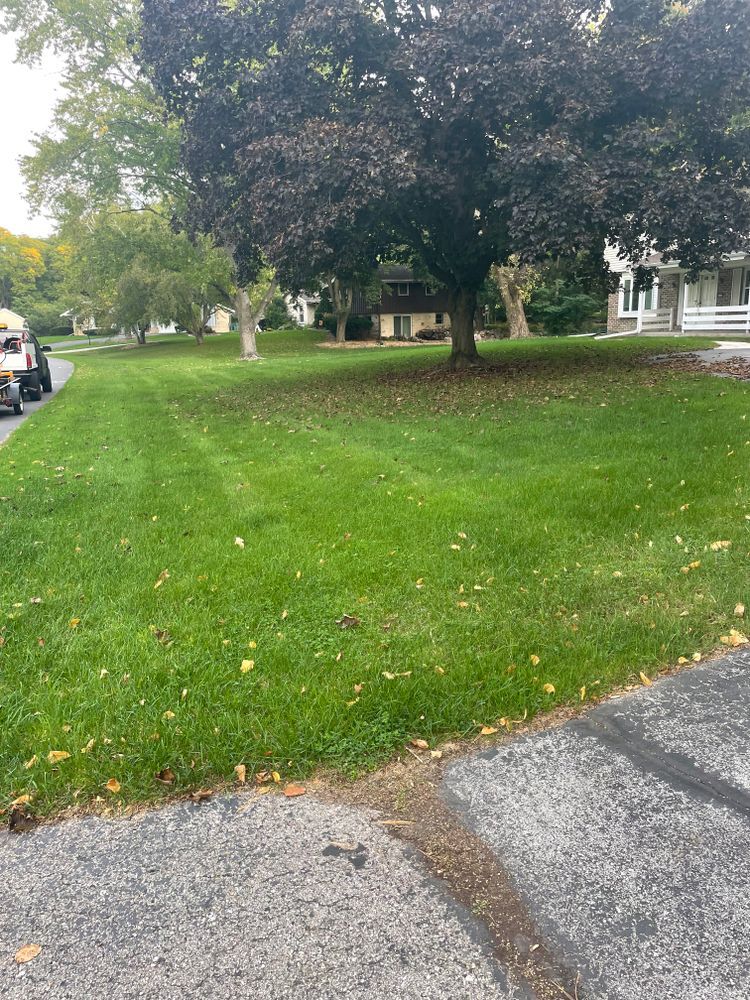 A lawn mower is cutting a lush green lawn in front of a house