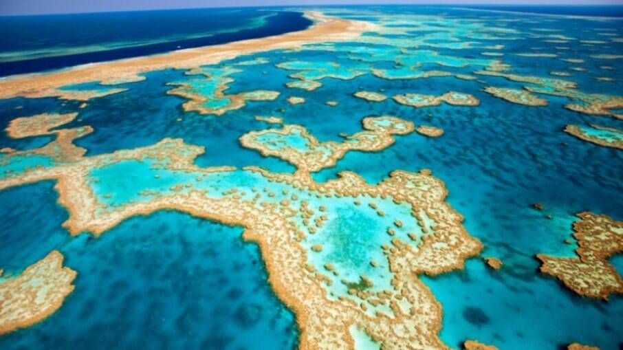 Uma vista aérea de um recife de coral no oceano