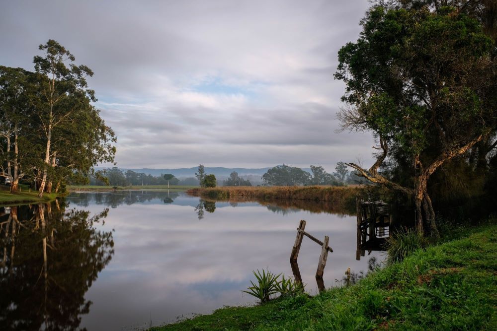 A Lake Surrounded by Trees and Grass on a Cloudy Day — Smash Repairs In Bulahdelah, NSW
