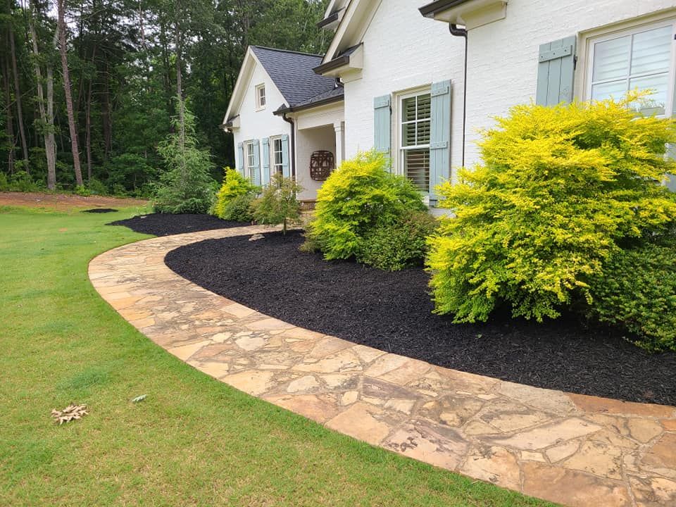 Stone path curving to a white house with blue shutters, surrounded by green lawn, black mulch, and yellow-green shrubs.