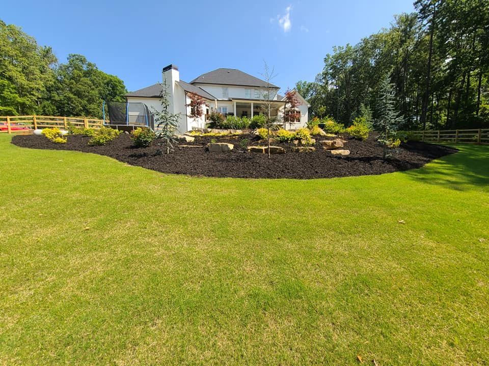 Backyard with landscaping and a white house under a blue sky.
