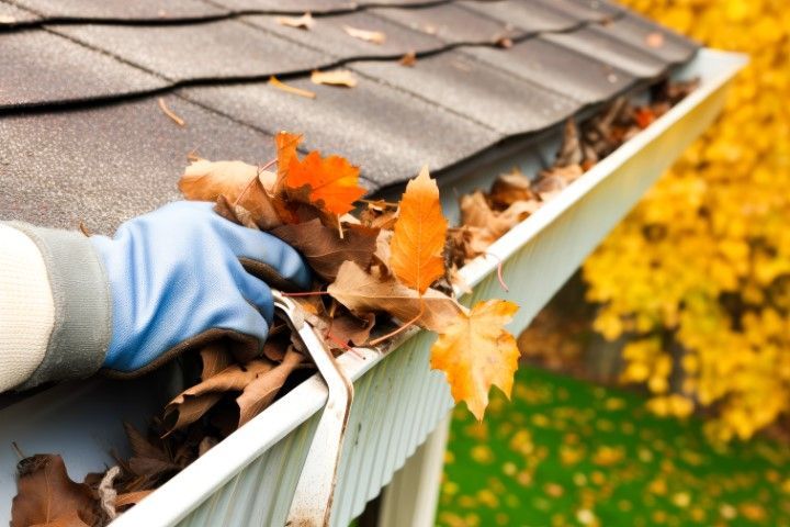 A hand wearing a blue protective glove cleans orange and brown autumn leaves out of a white residential roof gutter.