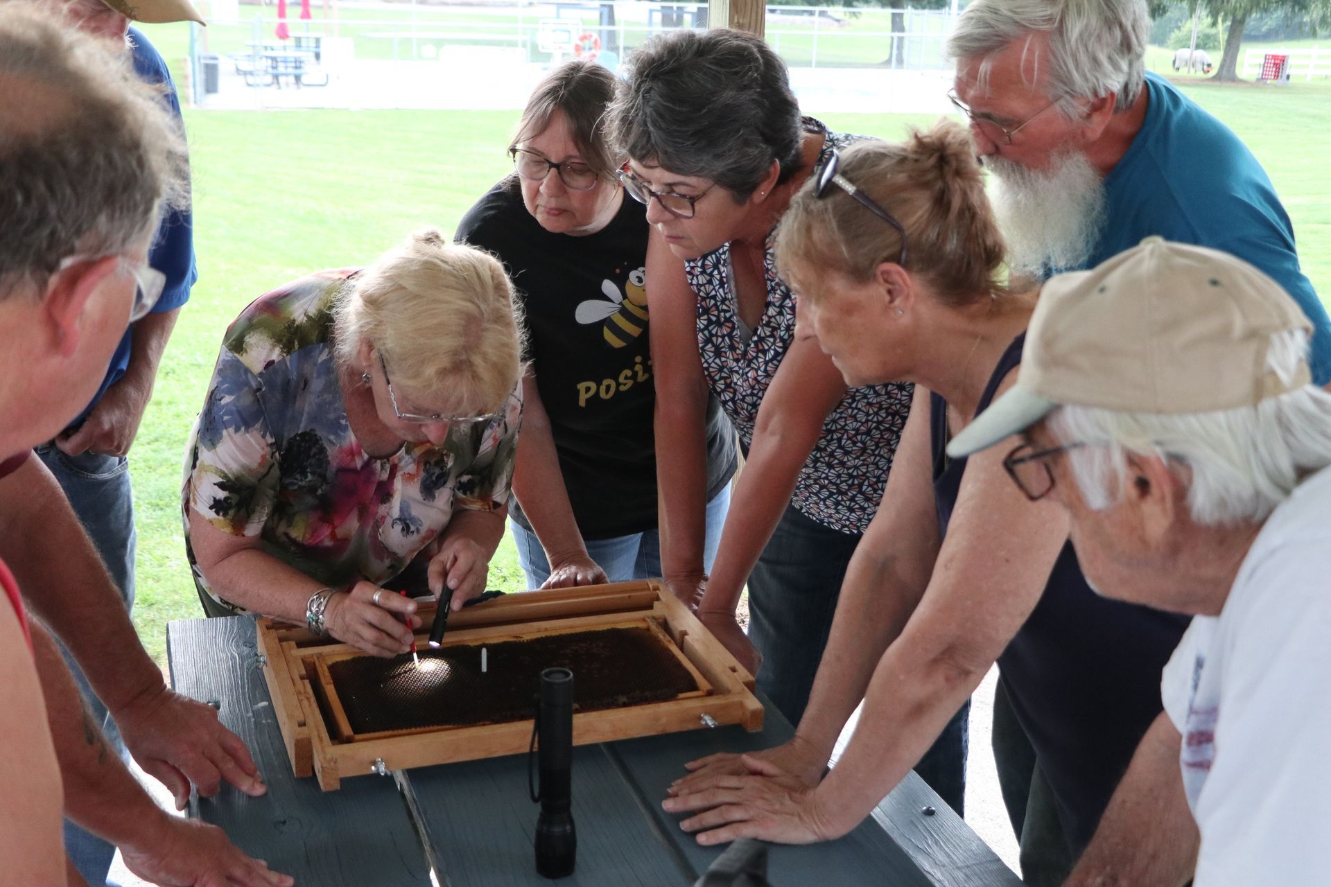 A group of people are looking at a beehive on a picnic table.