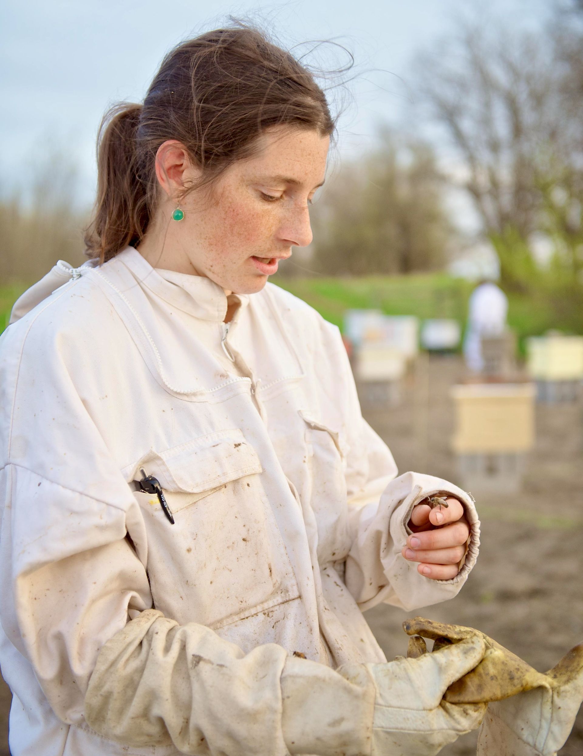 Beekeeper in white suit examines gloved hand near beehives in field.