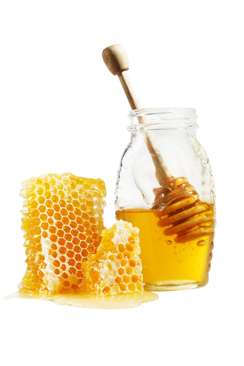 A collage of three pictures of a bee swarms on a tree.