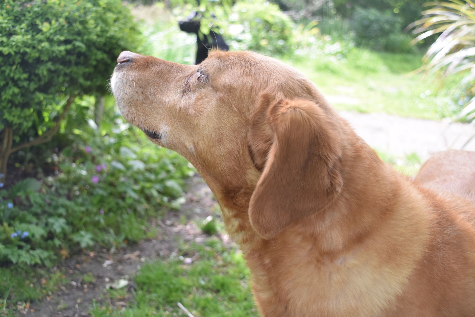 BBC Radio 3 | Inside Music with Gary Matthewman