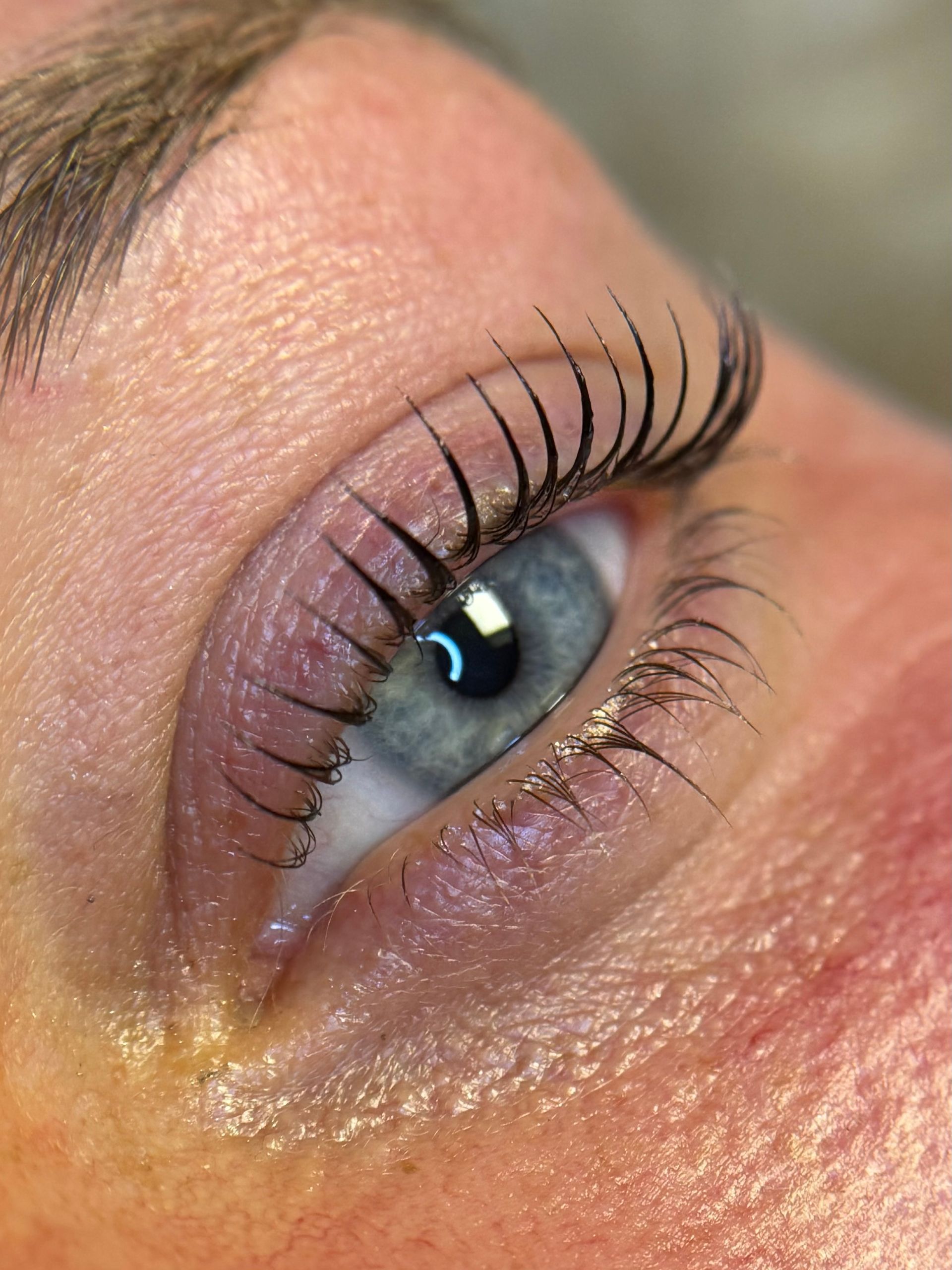 korean lash lift