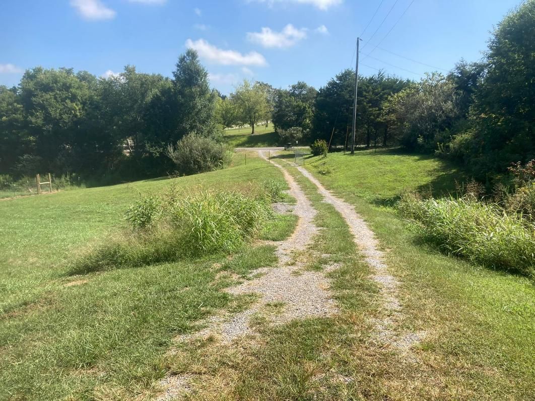 Dirt path through a grassy field, leading towards trees under a blue sky.