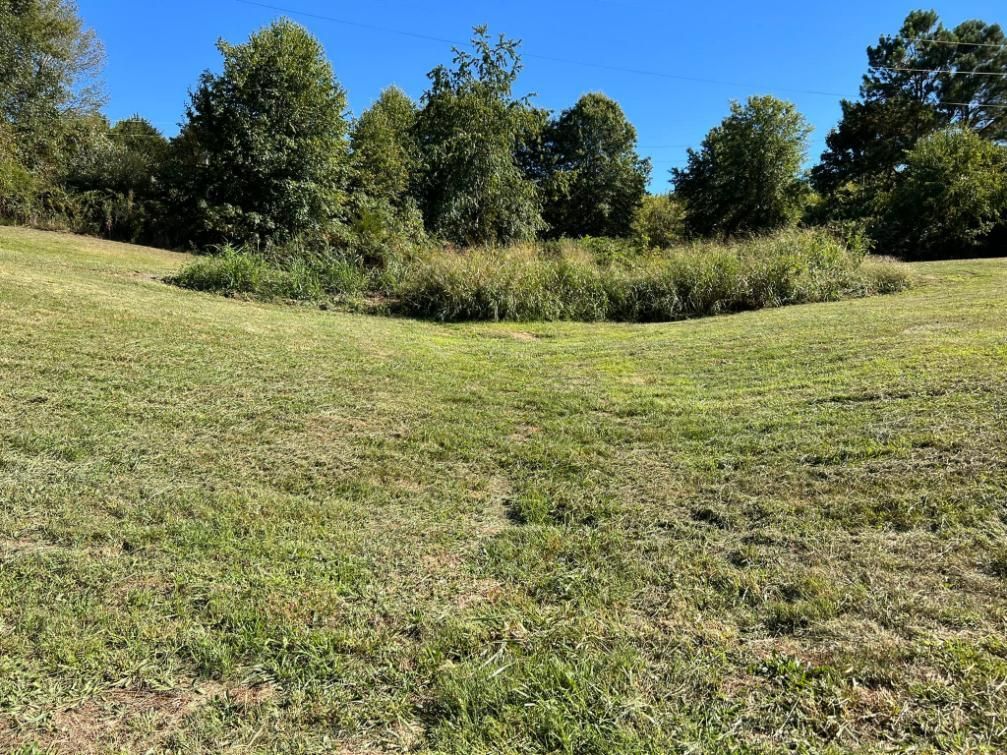 Green grassy field with trees and a blue sky.