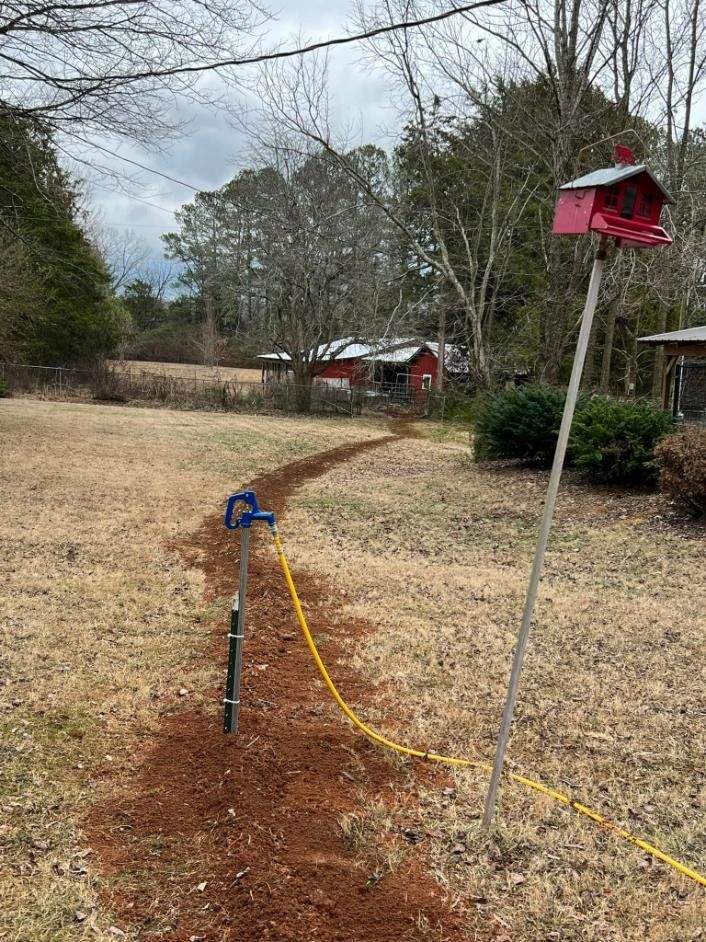 Backyard with a hose and a birdhouse on a pole; a path winds towards a red building.