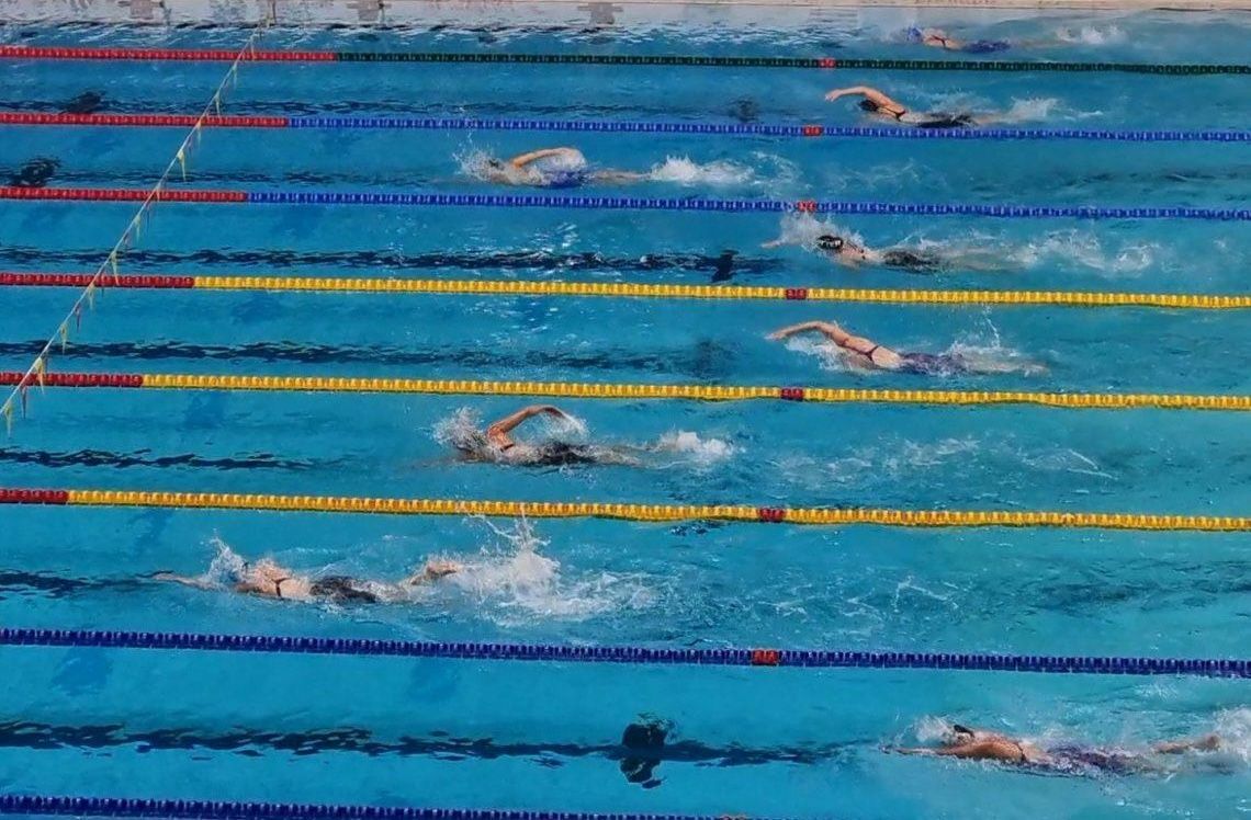 Aerial view of swimmers racing in an outdoor pool